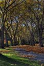 2006_10_BEV3581